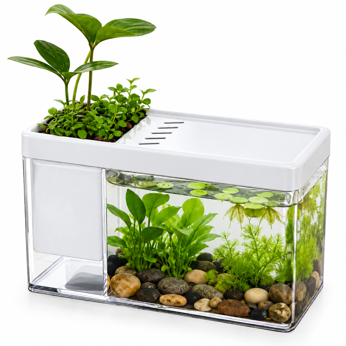 Mini Acuario Decorativo para Plantas Acuáticas 17 x 8 x 10,5 cm