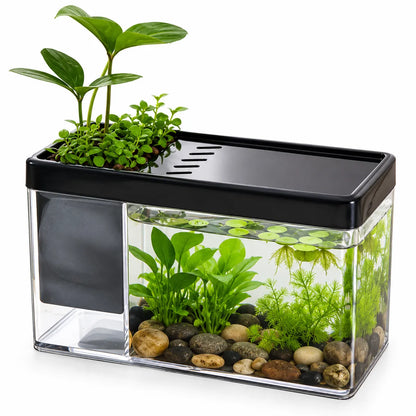 Mini Acuario Decorativo para Plantas Acuáticas 17 x 8 x 10,5 cm